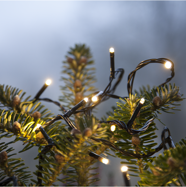 Lightchain